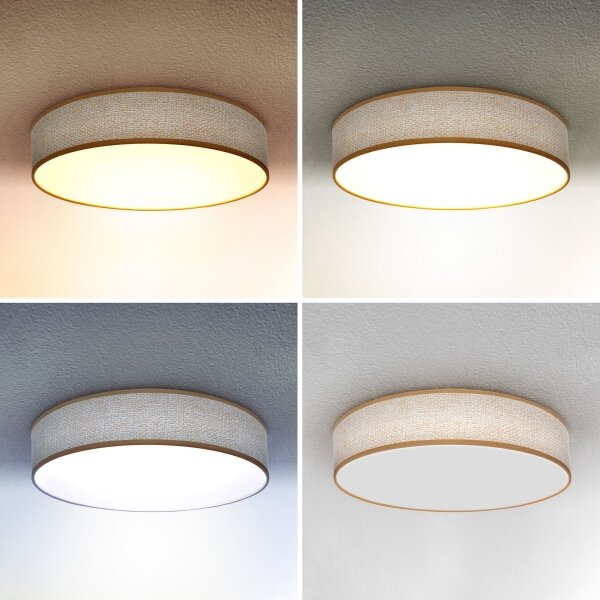 Brilagi - LED регулируемо таванно осветление CARMEN LED/48W/230V 3000-6500K + DO