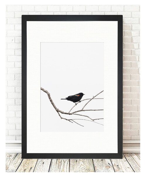 Плакат 24x29 cm Bird on the Branch - Tablo Center