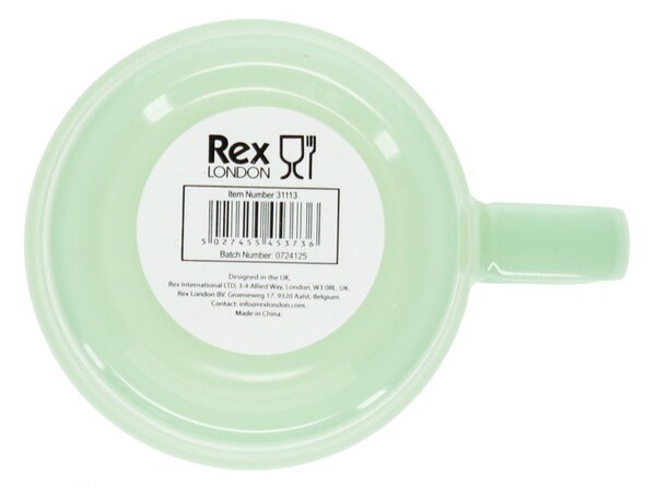 Стъклена чаша в цвят мента 280 ml – Rex London