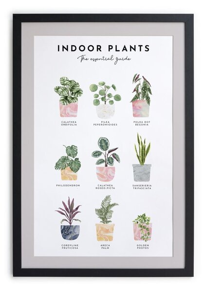 Картина за стена в рамка , 30 x 40 cm Indoor Plants - Really Nice Things