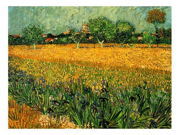 Репродукция на Винсент ван Гог - , 40 x 30 cm View of arles with irises in the foreground - Fedkolor