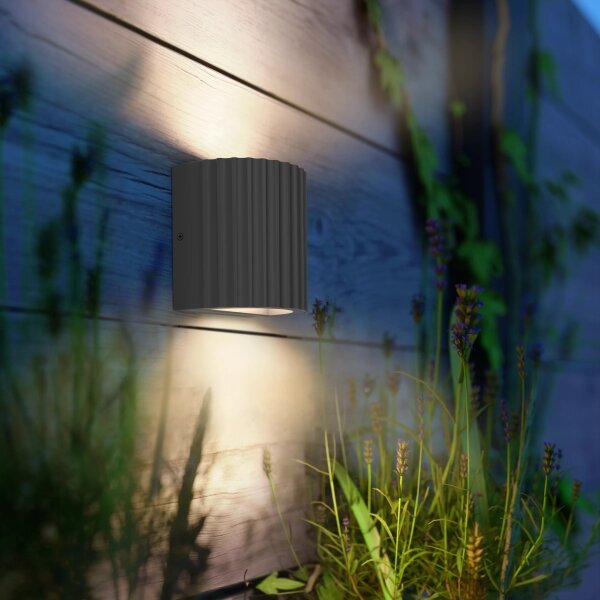 Philips - LED външен стенен осветител ZYRA LED/4,3W/230V 2700K IP44