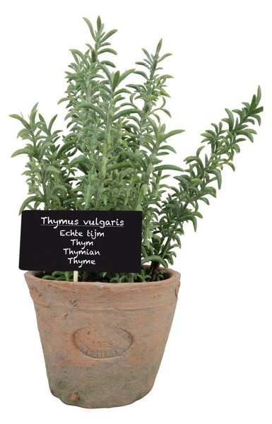 Изкуствено растение (височина 21,5 cm) Thyme – Esschert Design