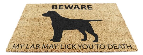 Изтривалка от кокосови влакна 40x60 cm Labrador – Artsy Doormats