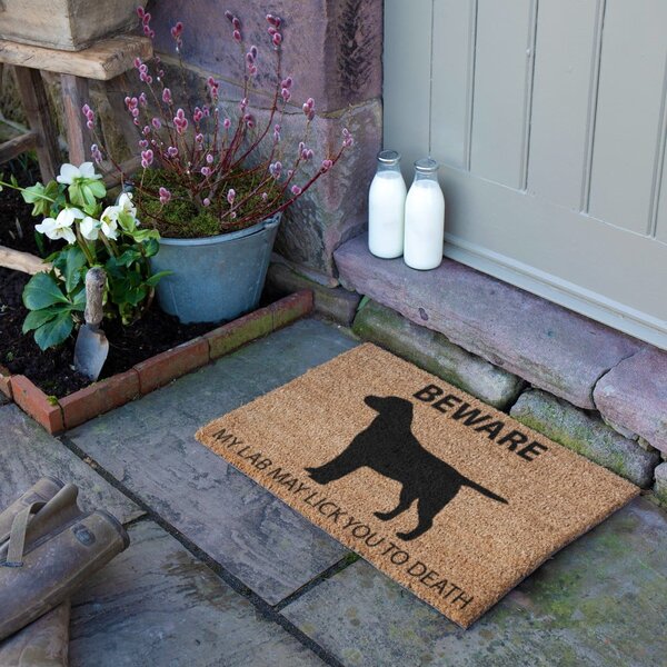 Изтривалка от кокосови влакна 40x60 cm Labrador – Artsy Doormats