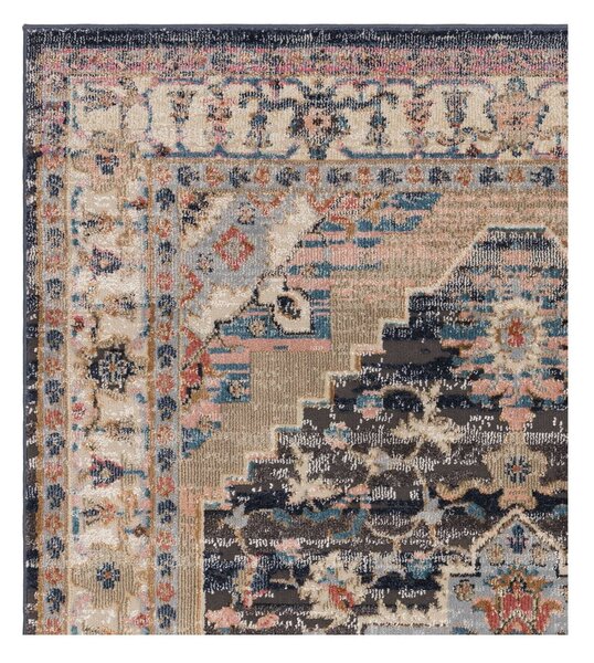 Килим 120x170 cm Zola – Asiatic Carpets