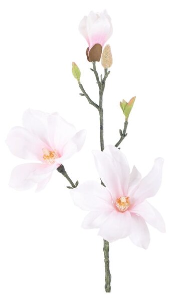 Изкуствени цветя в комплект от 10 бр. (височина 69 cm) Magnolia – AmeliaHome