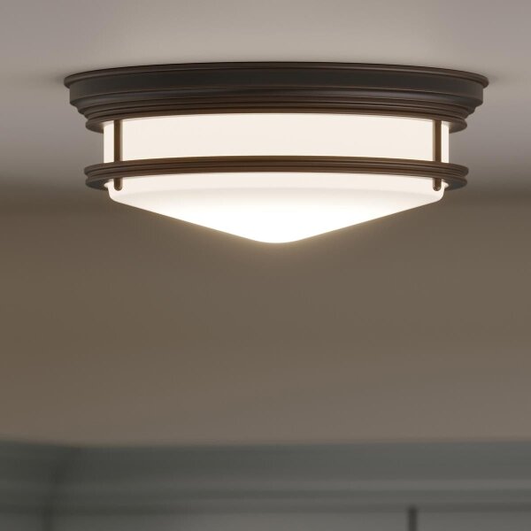 Hinkley HK-HADLEY-F-OZ-За баня таванно осветително тяло HADLEY 3xE27/40W/230V IP44 бронзово
