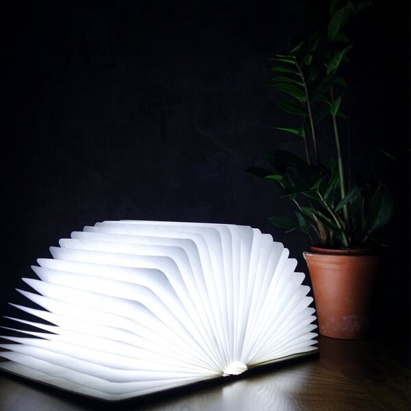 Светлинна декорация с USB в естествен цвят Booklight – Gingko