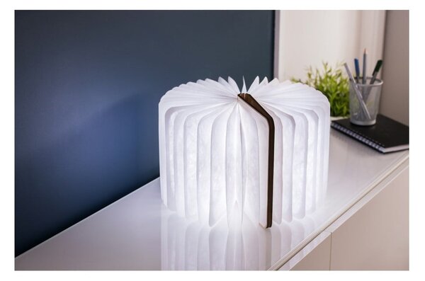 Светлинна декорация с USB в естествен цвят Booklight – Gingko