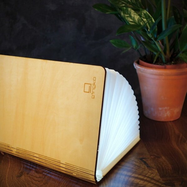 Светлинна декорация с USB в естествен цвят Booklight – Gingko