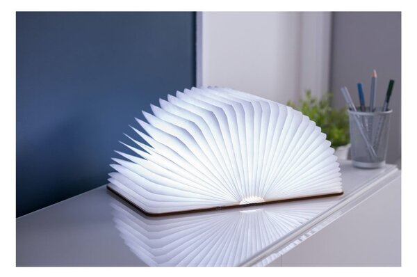 Светлинна декорация с USB в естествен цвят Booklight – Gingko
