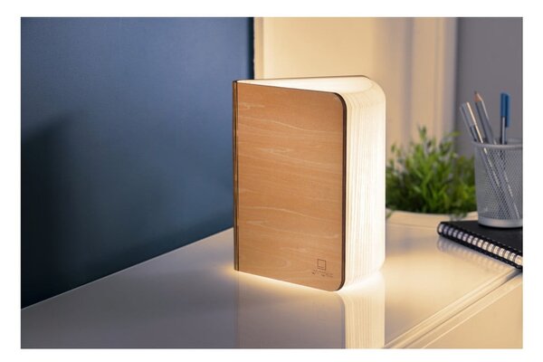 Светлинна декорация с USB в естествен цвят Booklight – Gingko