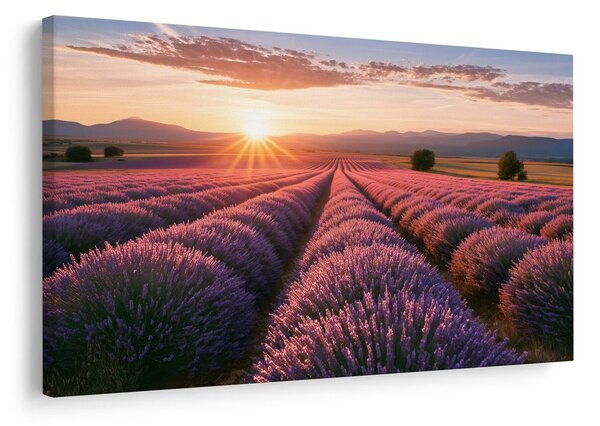 Картина на платно – Слънце над лавандулово поле