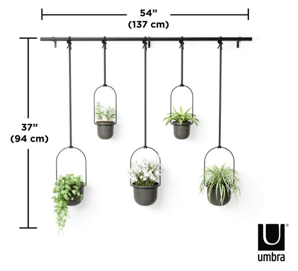 Пластмасови висящи саксии за билки в комплект от 5 броя ø 7,5 cm Triflora – Umbra