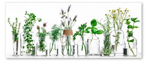 Изображение Glasspik , 30 x 80 cm Herbs - Styler