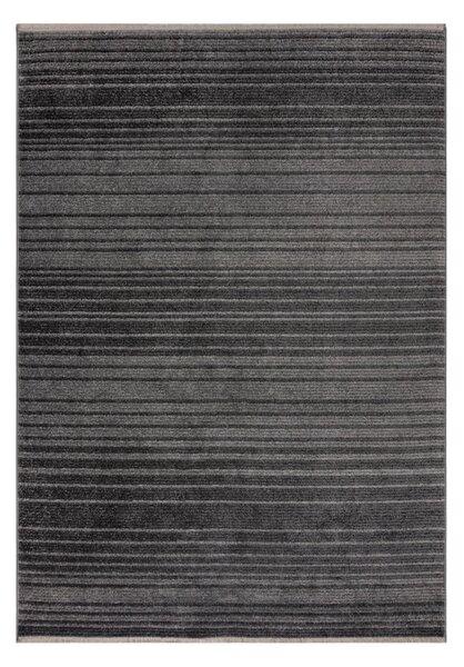 Тъмносив килим 120x160 cm Camino – Flair Rugs