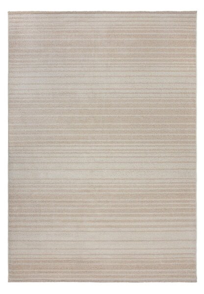 Кремав килим 160x230 cm Camino – Flair Rugs