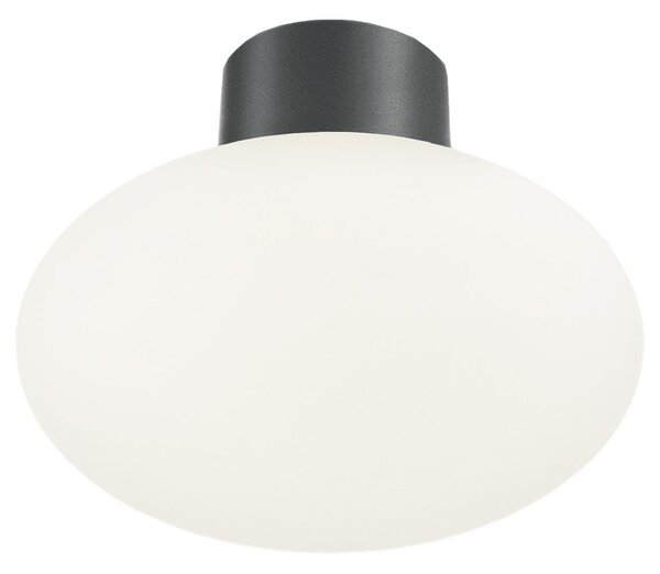 Ideal Lux - Външно таванно осветително тяло CLIO 1xE27/42W/230V IP44 антрацит