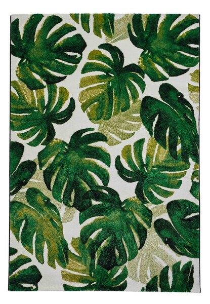 Тъмнозелен килим 80x150 cm Havana – Think Rugs