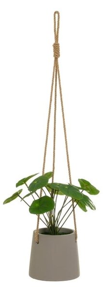 Изкуствено растение (височина 24 cm) Pilea – Casa Selección