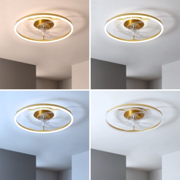BRILAGI - Таванен вентилатор с димируема LED/66W/230V, 55 cm, бял/златист + дистанционно управление