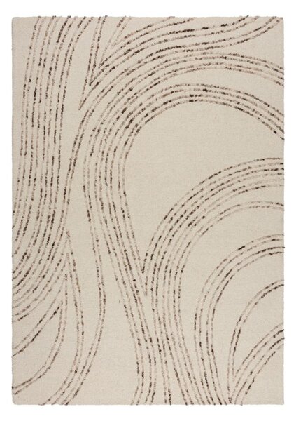 Кафяво-кремав вълнен килим 120x170 cm Abstract Swirl – Flair Rugs