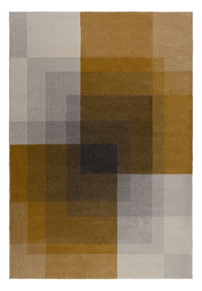 Сив и жълт килим , 120 x 170 cm Plaza - Flair Rugs