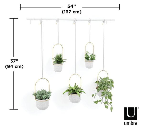 Пластмасови висящи саксии за билки в комплект от 5 броя ø 7,5 cm Triflora – Umbra