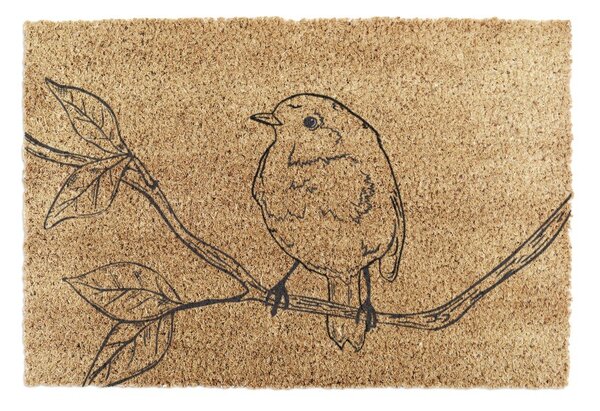 Изтривалка от кокосови влакна 40x60 cm Pencil Robin – Artsy Doormats