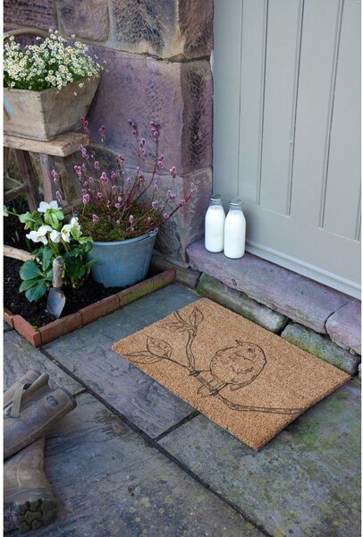 Изтривалка от кокосови влакна 40x60 cm Pencil Robin – Artsy Doormats