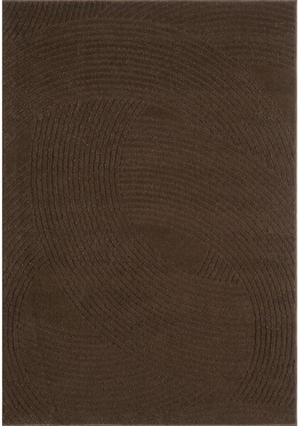 Кафяв килим 120x170 cm Zephyr – ESTE