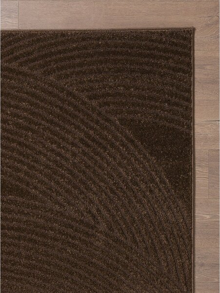 Кафяв килим 120x170 cm Zephyr – ESTE