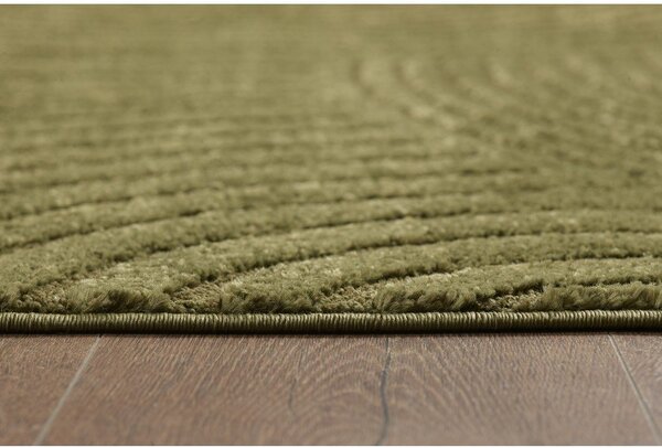 Тъмнозелен килим 120x170 cm Whirl – ESTE