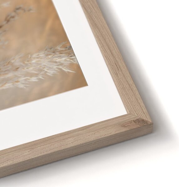 Картини в комплект от 2 бр. 30x40 cm Selloana – Styler