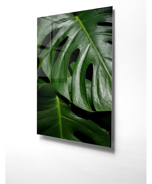 Картина върху стъкло 50x70 cm Monstera - Wallity