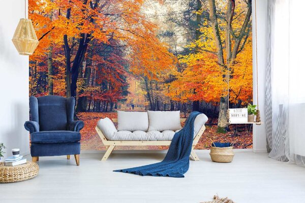 Самозалепваща се флизелинова фототапета пътека през есенния парк 375 x 250 см