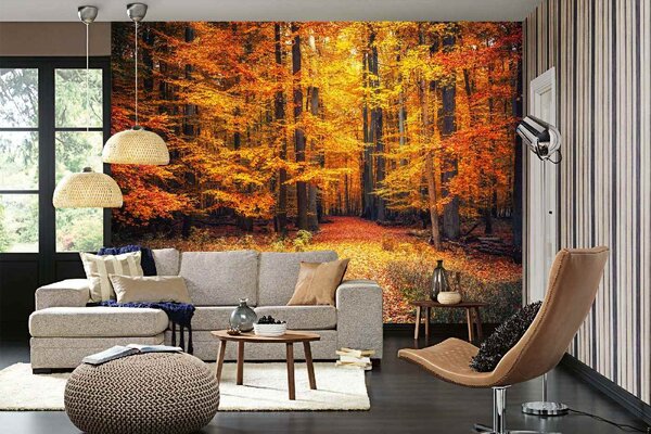 Самозалепваща се флизелинова фототапета пътека в есенния парк 375 x 250 см