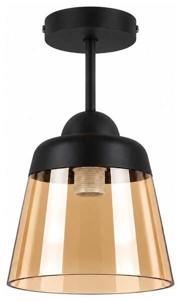BRILAGI-LED Прикрепен полилей R GLASS 1xE27/60W/230V Ø 15,5 cm черен/опушено бежово