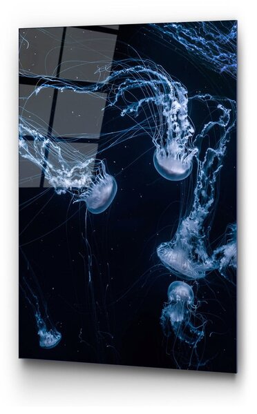 Живопис върху стъкло 70x100 cm Jelly Fish - Wallity