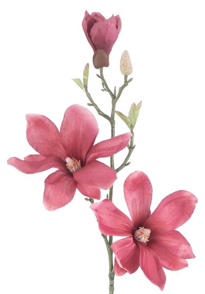 Изкуствени цветя в комплект от 10 бр. (височина 69 cm) Magnolia – AmeliaHome