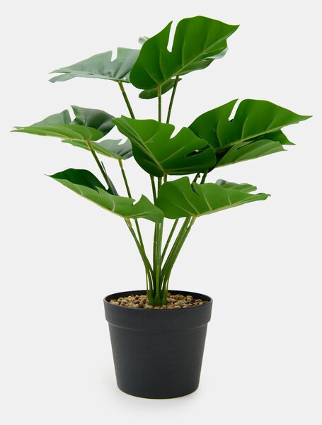 Sinsay - Pianta decorativa in vaso - зeлeн