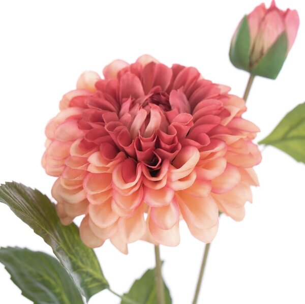 Изкуствени цветя в комплект от 10 бр. (височина 62 cm) Dahlia – AmeliaHome