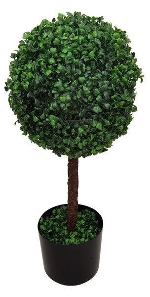 Декоративно растение Bolla I Зелен 30x30x65 см