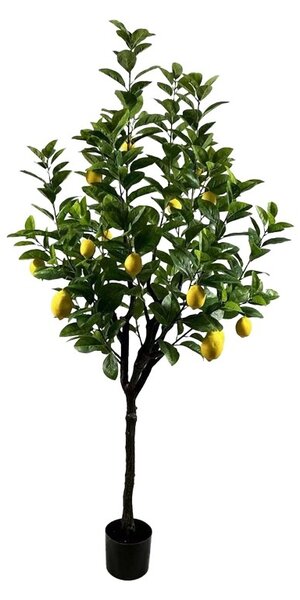 Декоративно растение Lemon tree Зелен 180x180x180 см