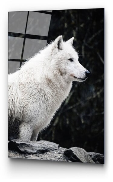 Живопис върху стъкло 70x100 cm White Wolf - Wallity