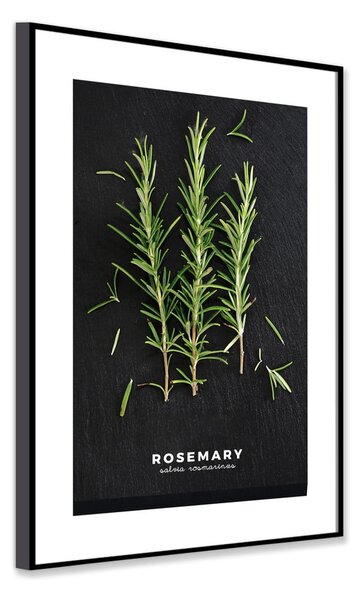 Плакат в рамка 50x70 cm Rosemary - Styler