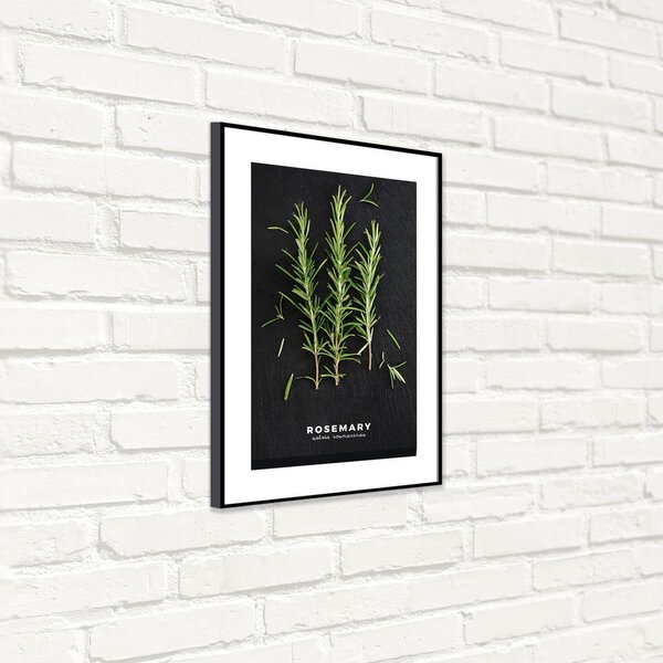 Плакат в рамка 50x70 cm Rosemary - Styler