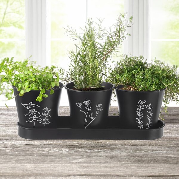 Метални саксии за билки в комплект от 3 бр. ø 11 cm Black – Orion