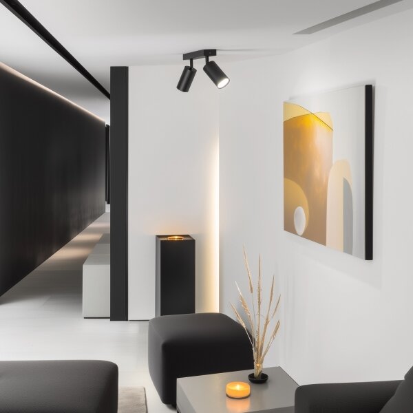Brilagi - LED RGBW димируемо точково осветително тяло SELE 2xGU10/4,8W/230V черно